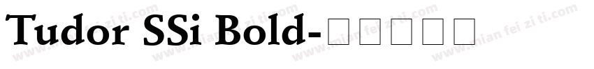 Tudor SSi Bold字体转换